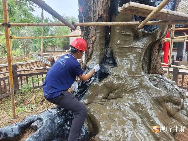 1758598651297210.jpg 55 (1).jpg