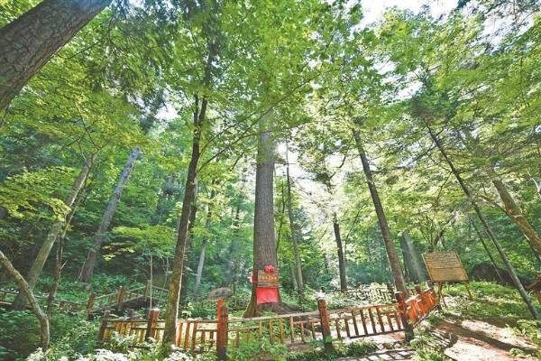 1758679543705582.jpg 33 (1).jpg