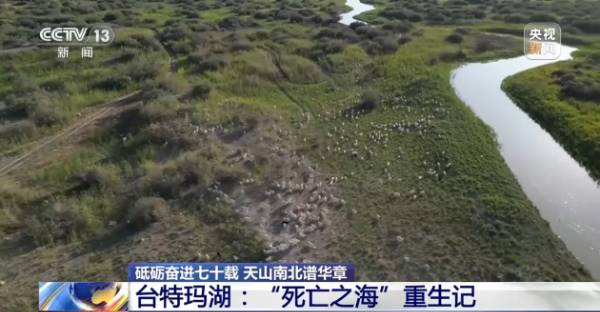 1758679882429891.jpg 1.jpg