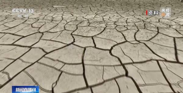 1758679917288438.jpg 2.jpg