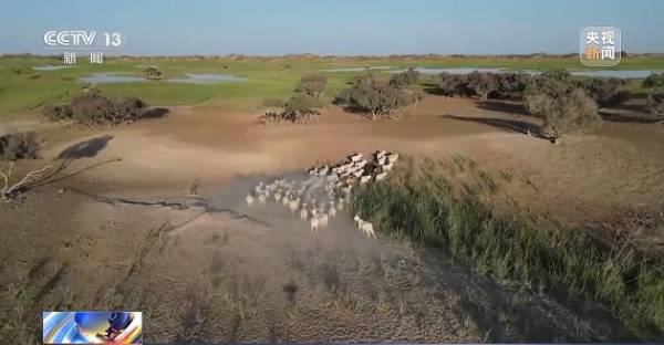 1758680025345593.jpg 6.jpg