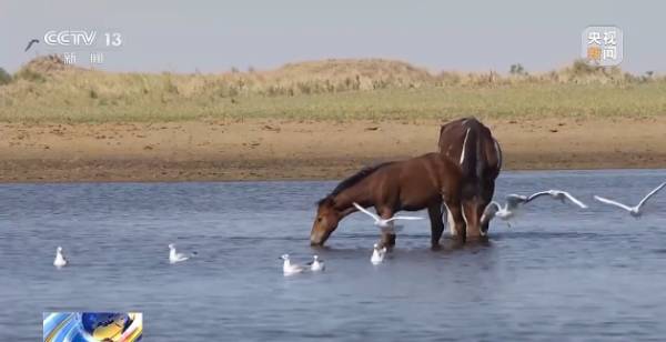 1758680038164534.jpg 7.jpg