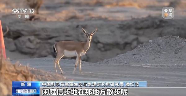 1758680064272935.jpg 8.jpg