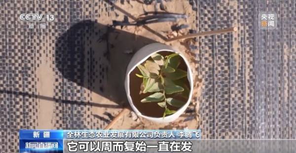 1758680105609940.jpg 11.jpg