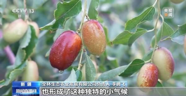 1758680118250338.jpg 13.jpg