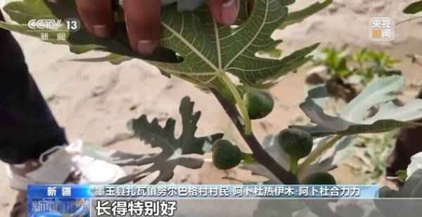 1758680126396002.jpg 14.jpg