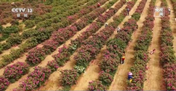 1758680133720251.jpg 15.jpg