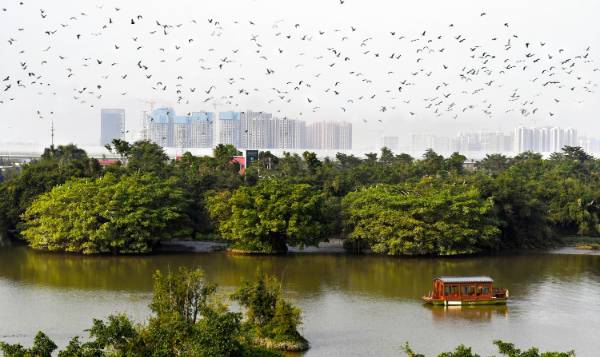 1758680882346226.jpg 1.jpg