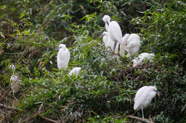 1758681075169728.jpg 2.jpg