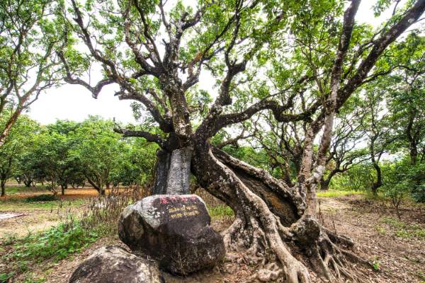 1758681083139506.jpg 3.jpg