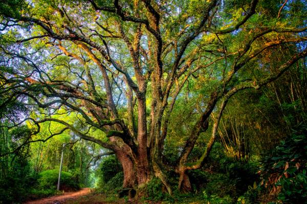 1758681090546490.jpg 4.jpg