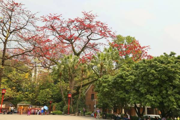 1758681098610103.jpg 5.jpg