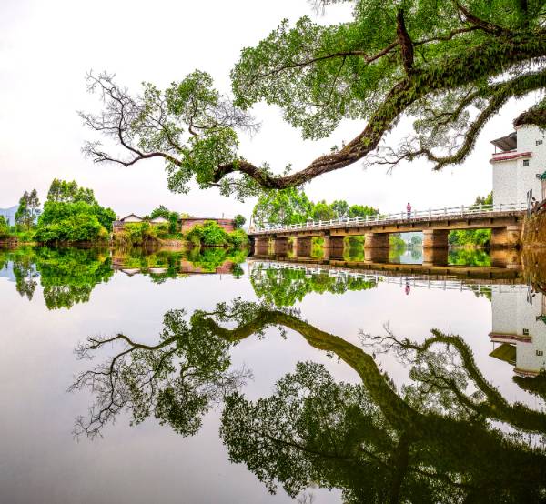 1758681106194798.jpg 6.jpg