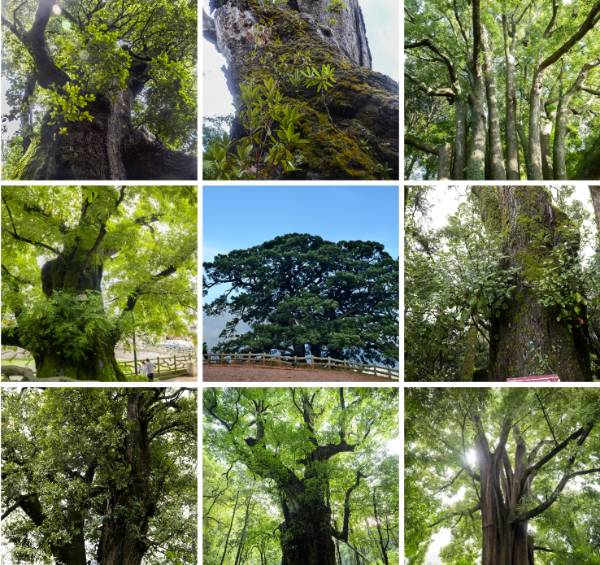 1758683701678970.jpg 1 (1).jpg