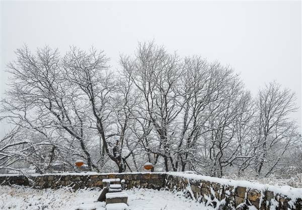 1758684368707977.jpg 4.jpg