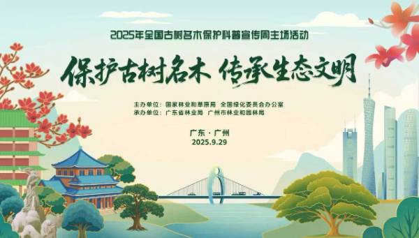 1758768769539672.jpg 1.jpg