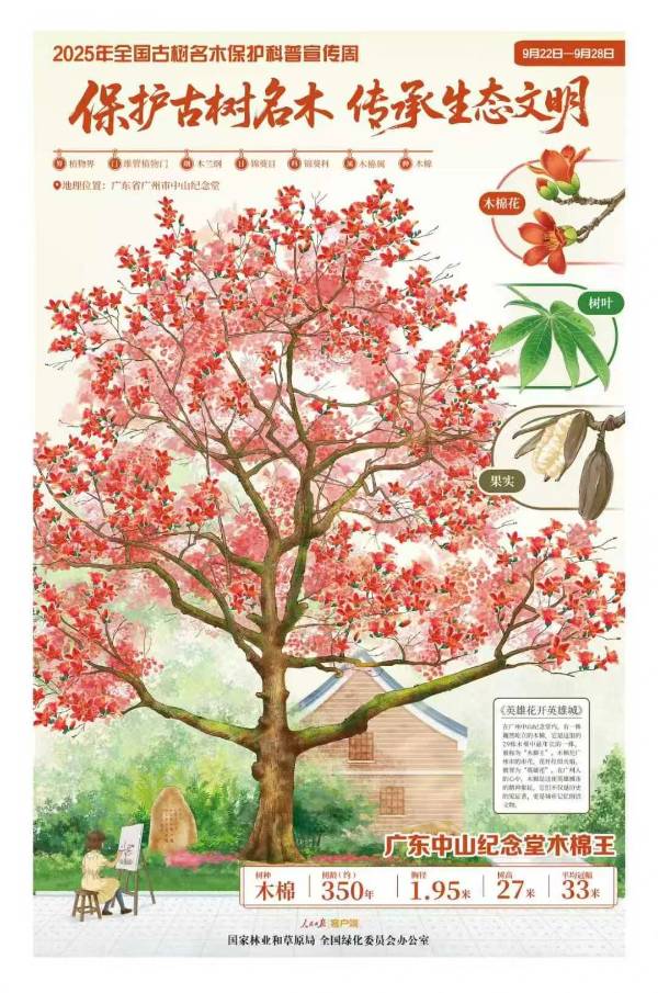 1758768799966465.jpg 3.jpg