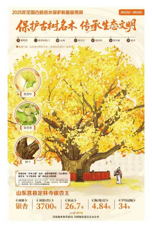 1758768818210246.jpg 4.jpg