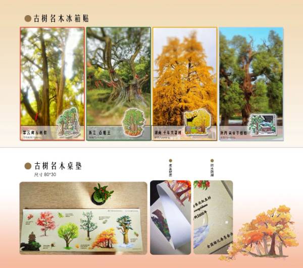 1758768835275070.jpg 5.jpg