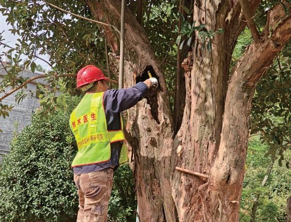 1758769134833962.jpg 7.jpg