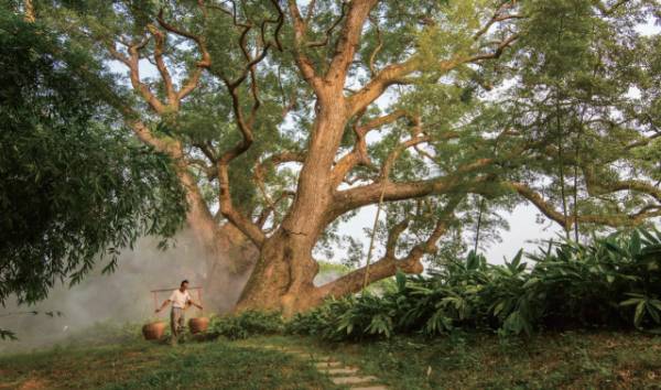 1758769144116149.jpg 8.jpg