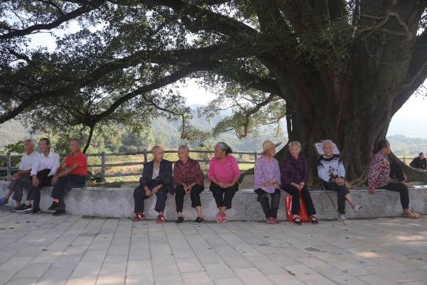 1758769151126227.jpg 9.jpg