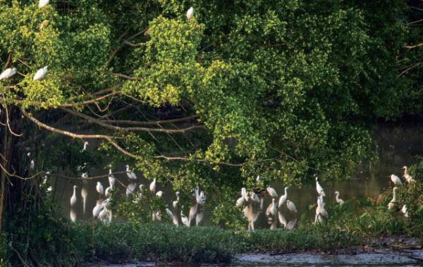 1758769160726596.jpg 10.jpg