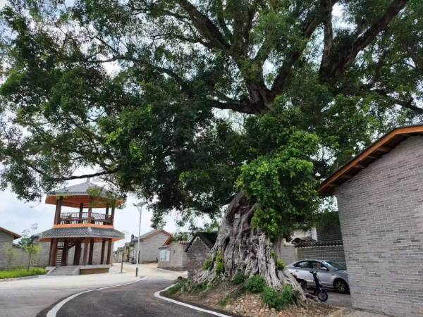 1758769275401726.jpg 11.jpg