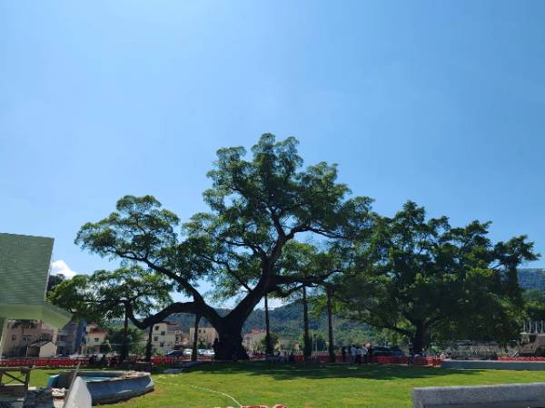 1758769312240576.jpg 13.jpg