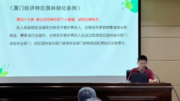 1758769482402331.jpg 16.jpg