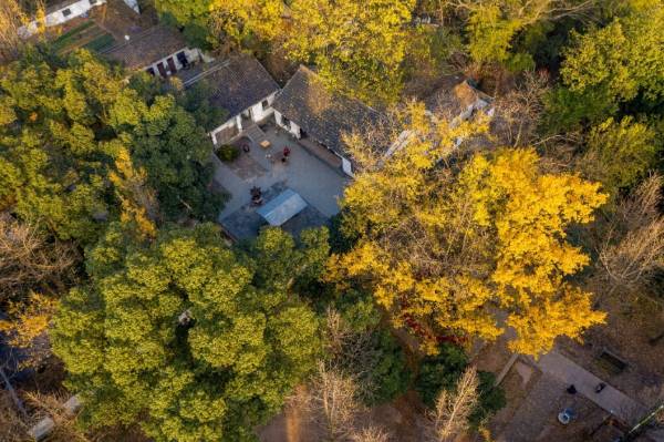 1758769968686941.jpg 25.jpg