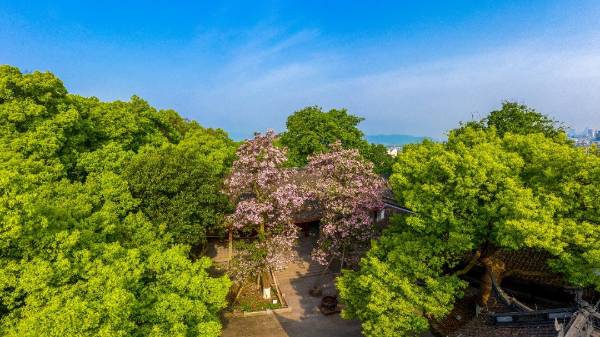 1758769984909279.jpg 26.jpg