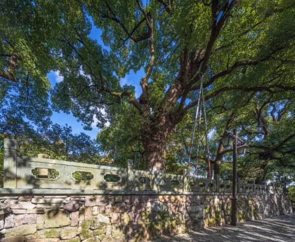 1758770000336857.jpg 27.jpg