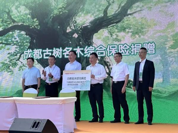 1758770378881379.jpg 30.jpg