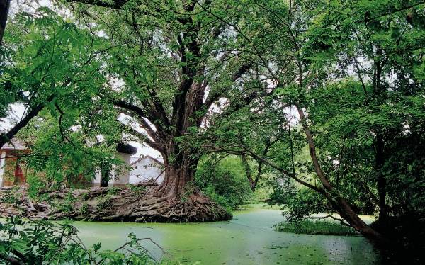 1758781286941182.png 5.png