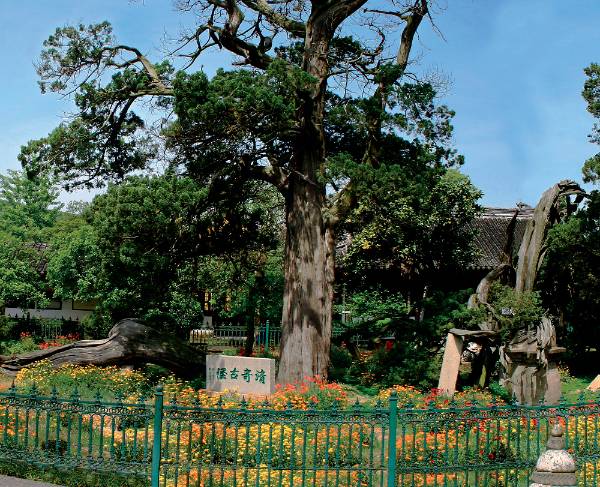 1758781299389067.png 6.png