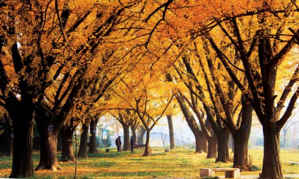 1758781307633531.png 7.png