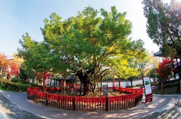 1758781325536978.png 9.png