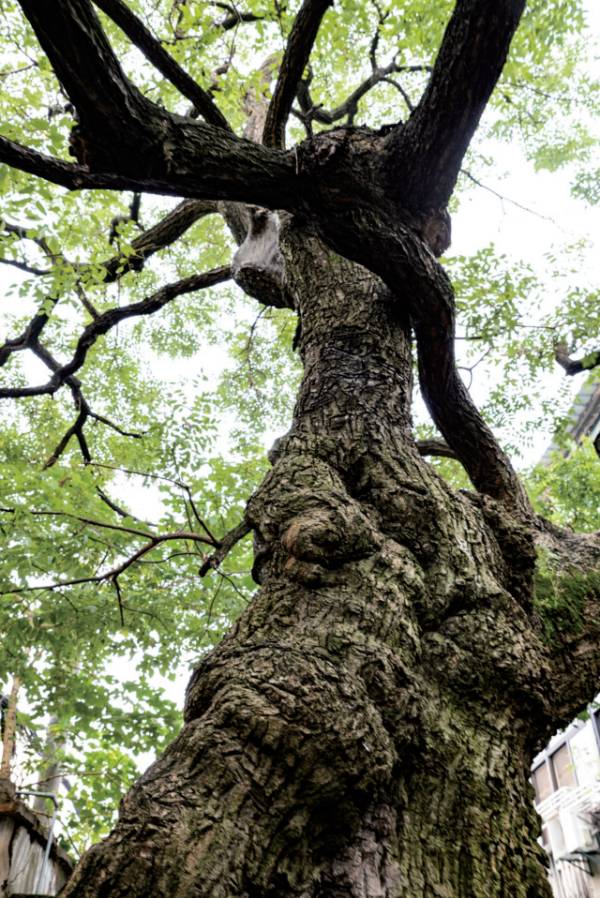 1758781343211569.png 10.png