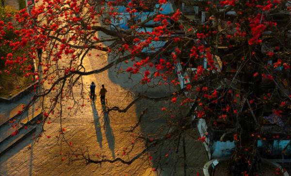 1758851473150331.jpg 1.jpg