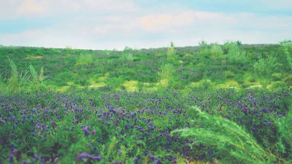 1758872451912864.jpg 1.jpg