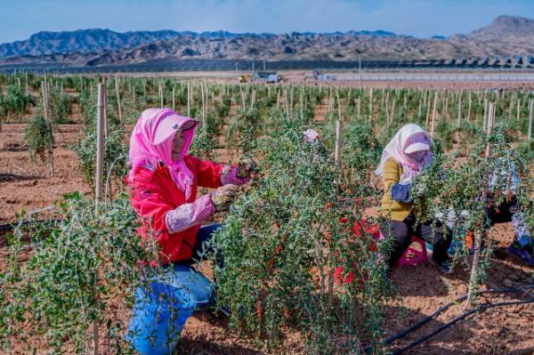 1758872458557998.jpg 2.jpg