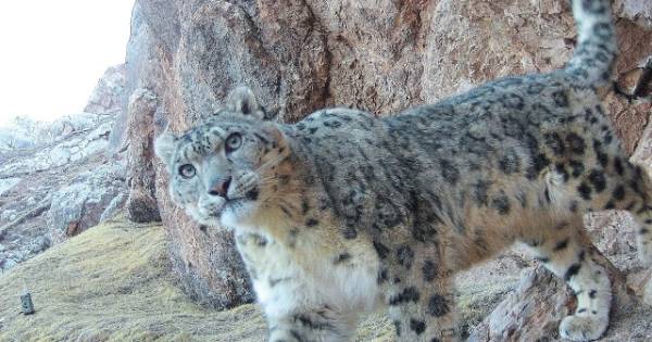 1758872464247632.jpg 3.jpg