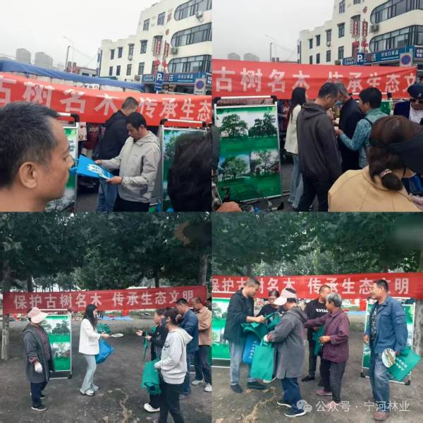 1759024033689712.jpg 1 (1).jpg