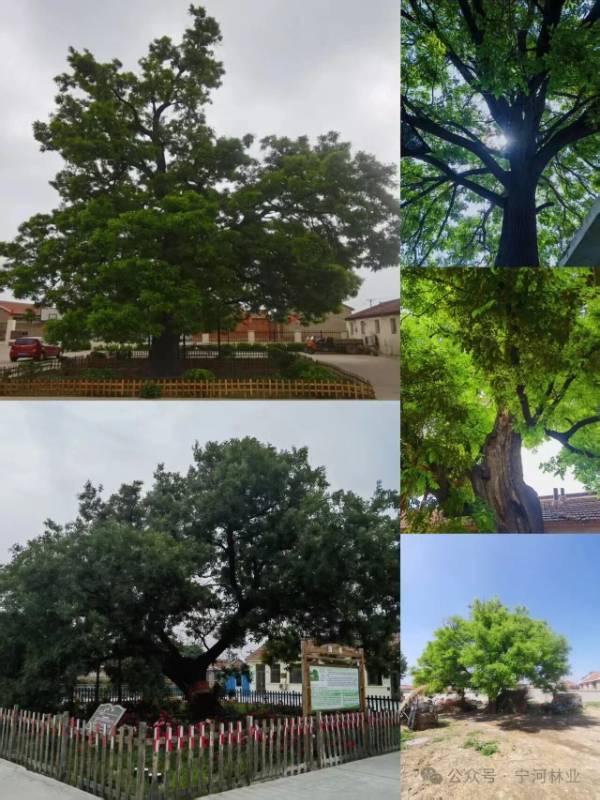 1759024058708779.jpg 2 (1).jpg