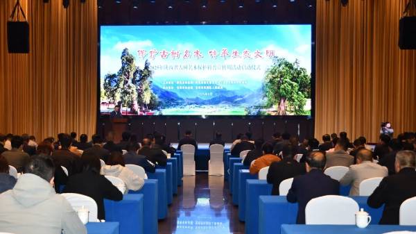 1759024729483960.jpg 5.jpg