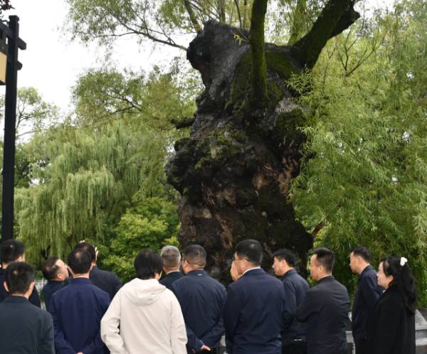 1759024751816415.jpg 7.jpg