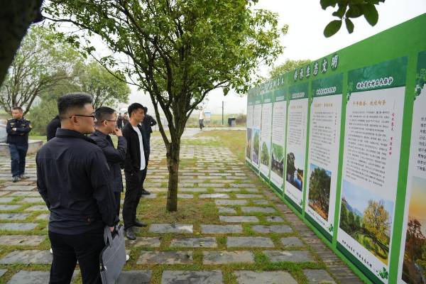 1759024869787539.jpg 9.jpg