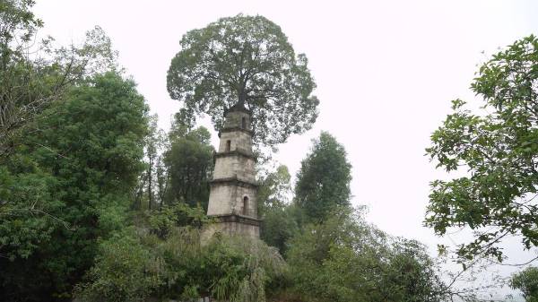 1759024883153270.jpg 10.jpg