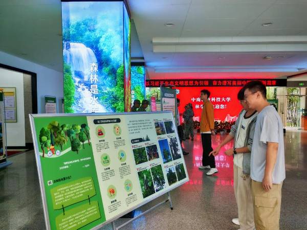 1759024960597087.jpg 11.jpg